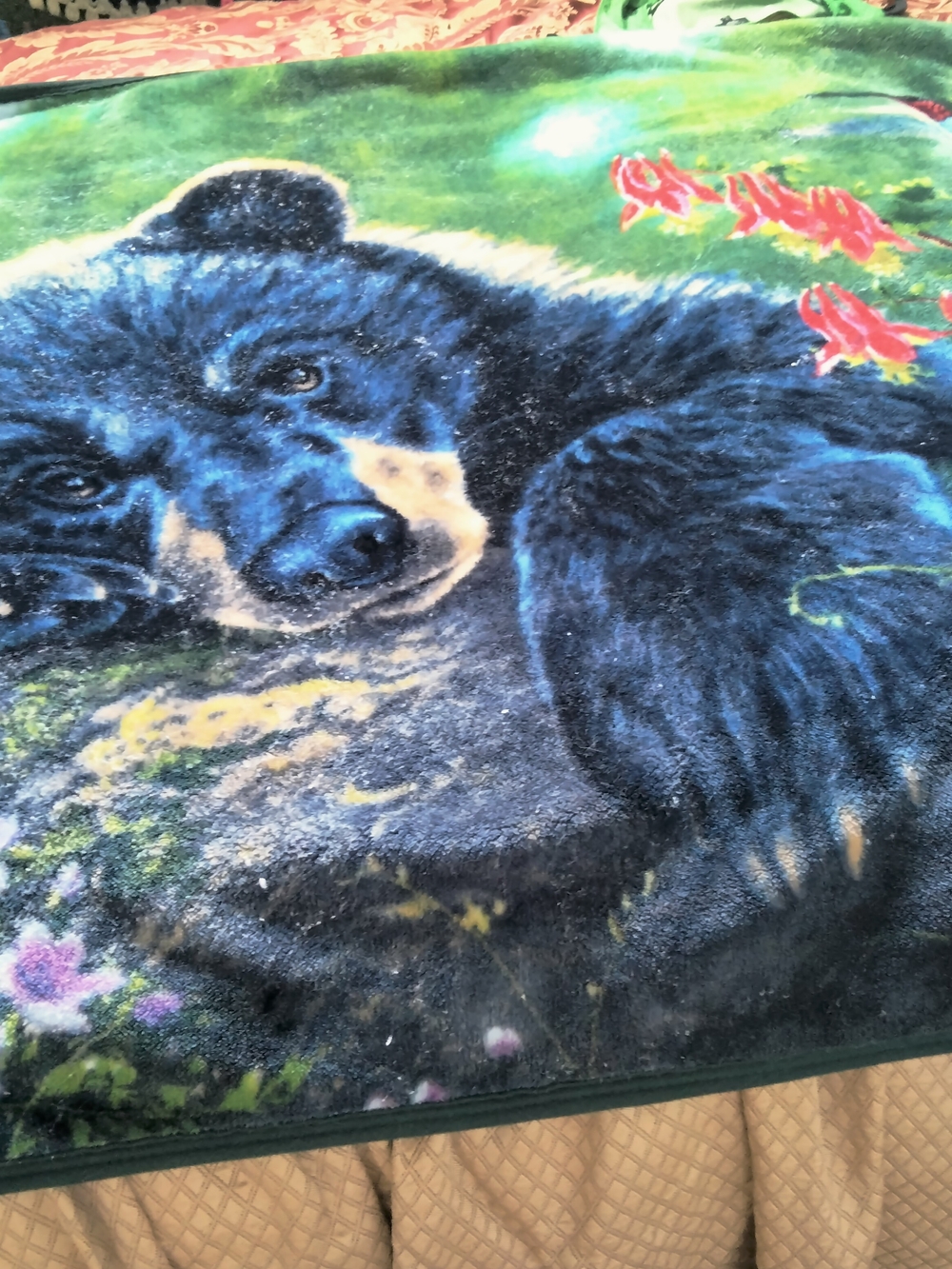 Northwest Plush Throw Blanket in Blue and Green Tie-Dye 54"X45"